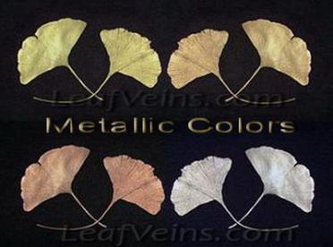 Ginkgo Leaves in Metallic Colors